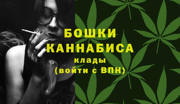 PSILOCYBIN Верхний Тагил