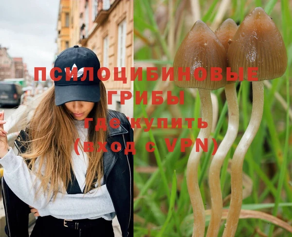 ALPHA-PVP Михайловск