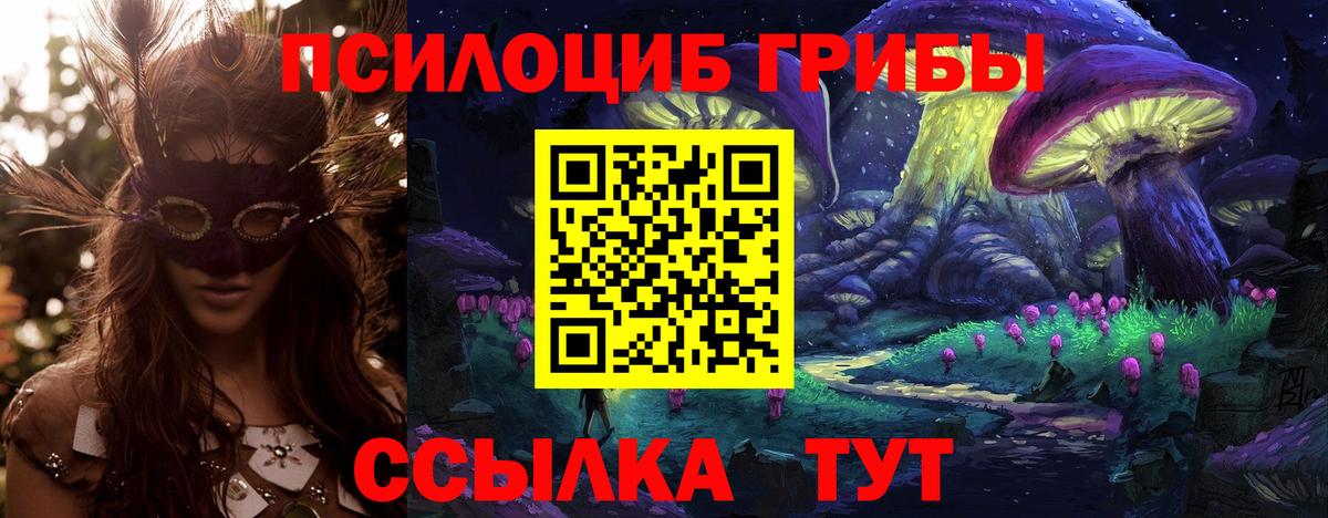 МЕФ Грозный
