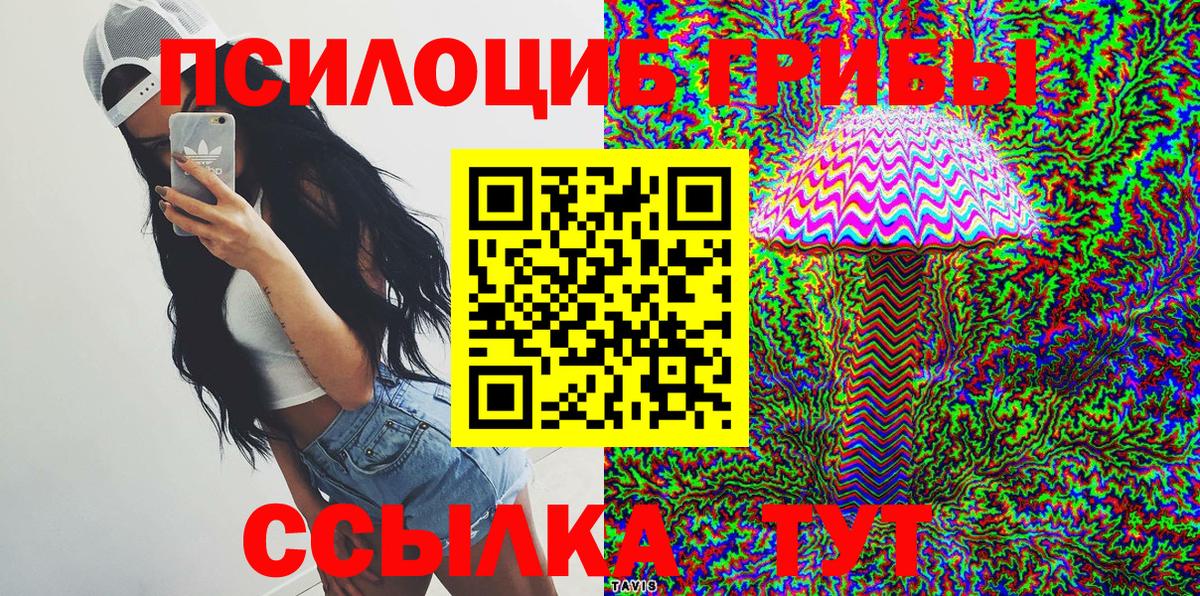 Псилоцибиновые грибы Psilocybe  Псилоцибиновые грибы MAGIC MUSHROOMS  Грозный 