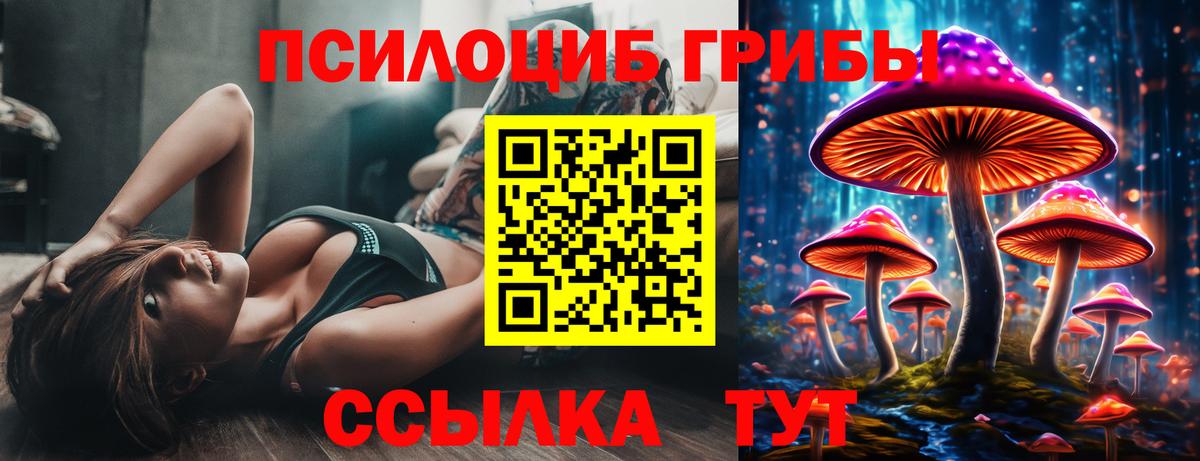 Галлюциногенные грибы Cubensis Грозный