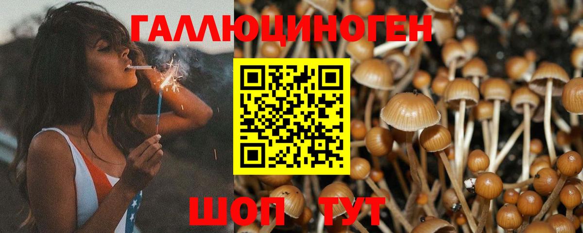 Галлюциногенные грибы GOLDEN TEACHER  Псилоцибиновые грибы мухоморы  Грозный  Вход с VPN 