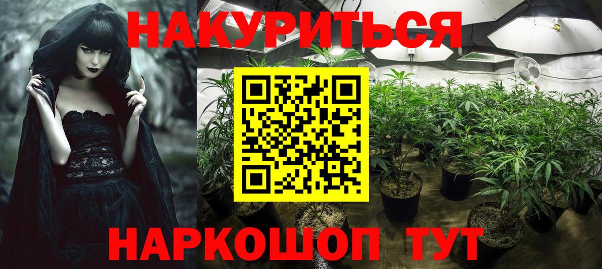 Каннабис White Widow  Грозный  Конопля OG Kush  Бошки Шишки тримм  Марихуана OG Kush 